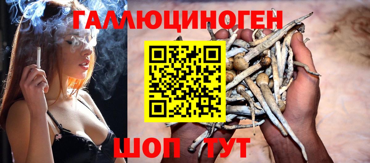 Галлюциногенные грибы мухоморы Сергиев Посад