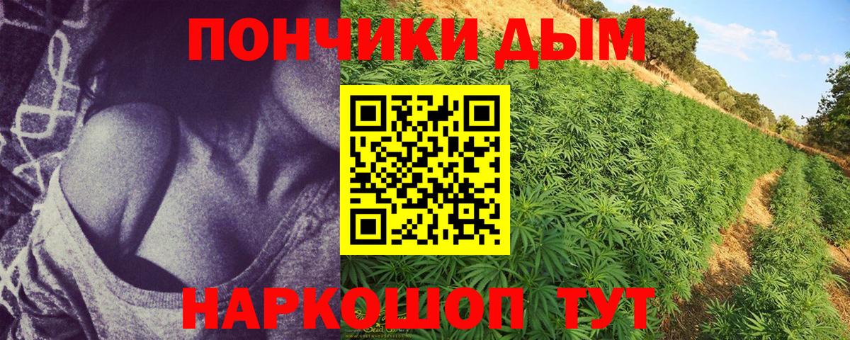 Бошки марихуана планчик  Вход с VPN  Сергиев Посад  Канабис планчик 